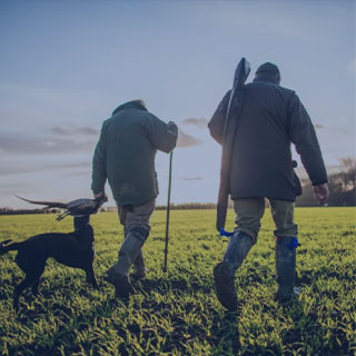 Sports Shoes for Hunting